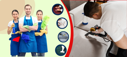 Couch Cleaning Coorparoo